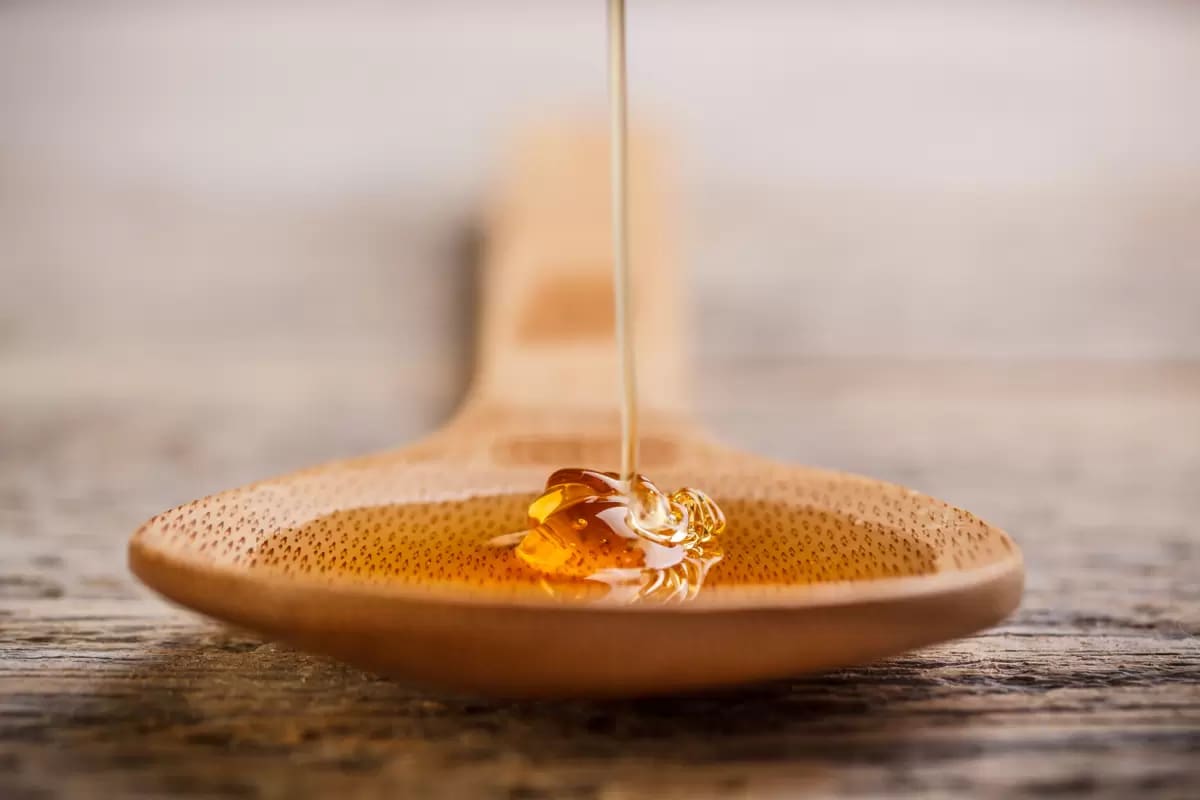 العسل الحر وفوائده