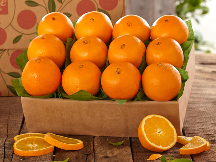 طريقة تصدير البرتقال:
