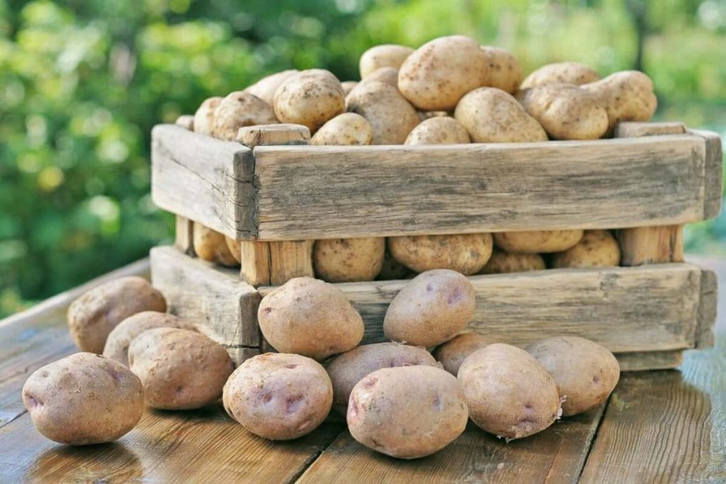 العوامل المؤثرة على سعر البطاطس