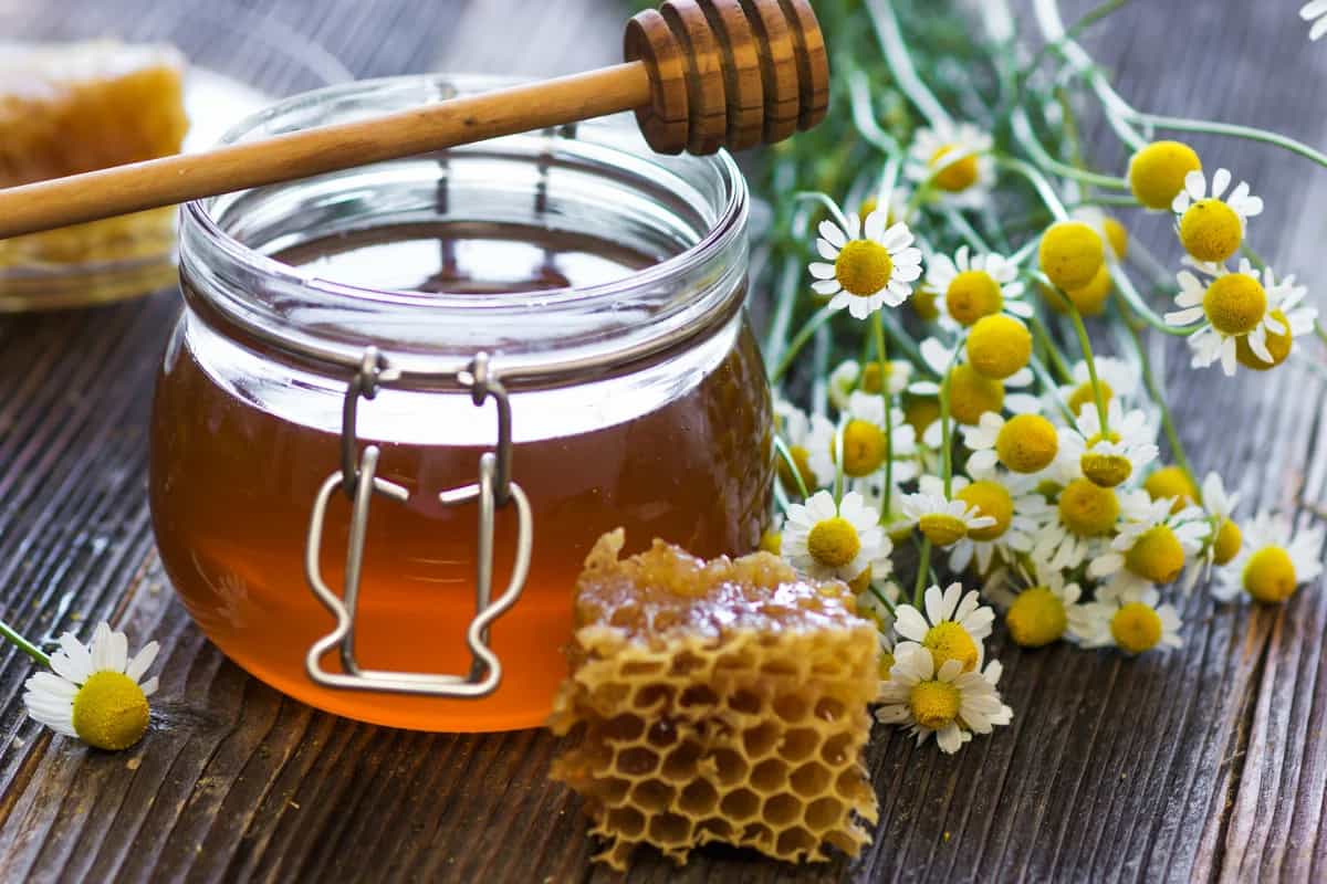 سعر العسل الاسود