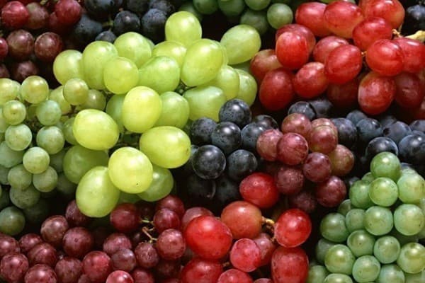 أنواع العنب في السعودية