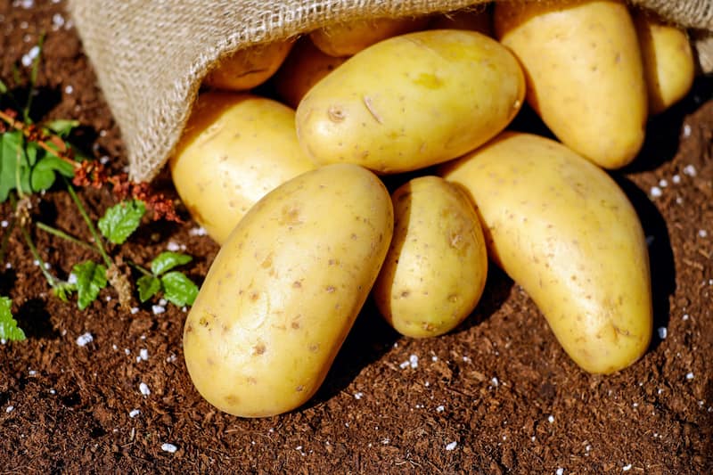 سعر البطاطس اليوم في سوق العبور