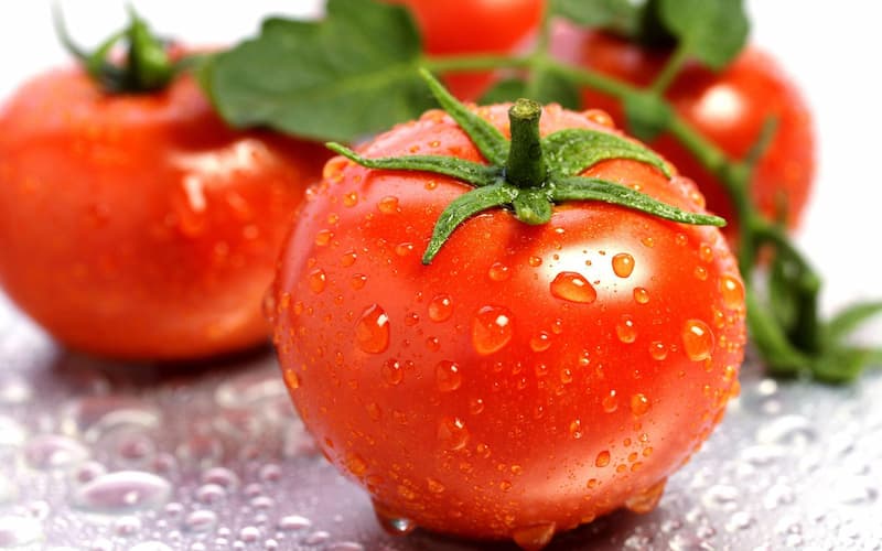 أنواع الطماطم