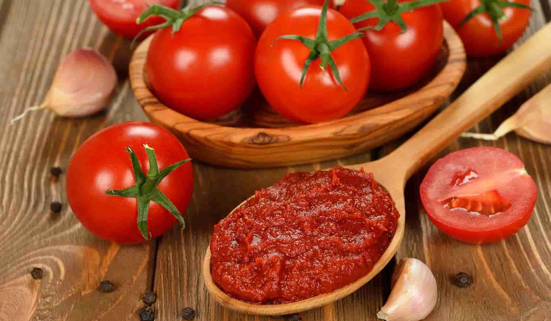 إنتاج معجون الطماطم المعلبة
