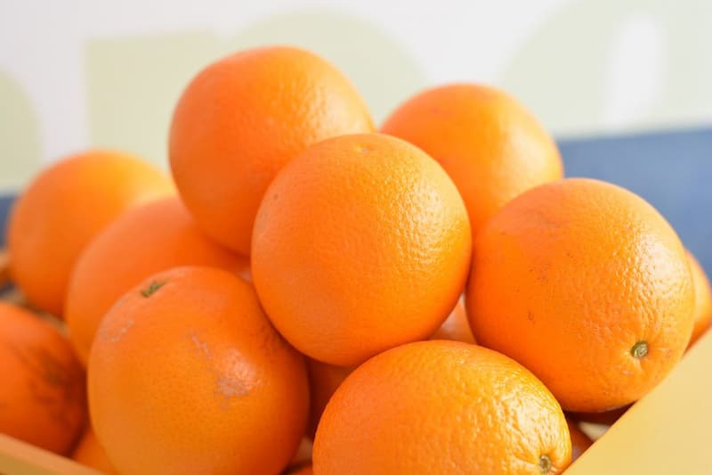 اجود أنواع البرتقال في الجزائر