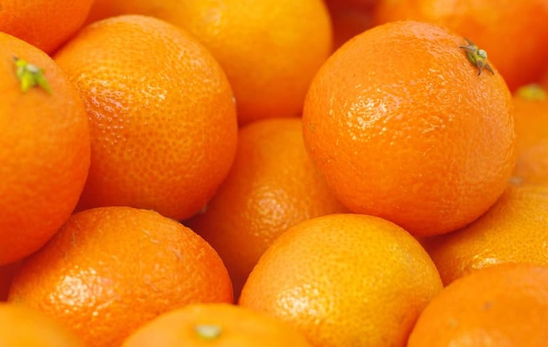 سعر طن البرتقال في مصر 2022