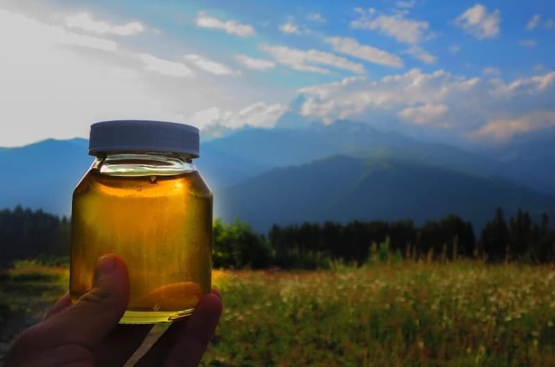 فوائد العسل الجبلي