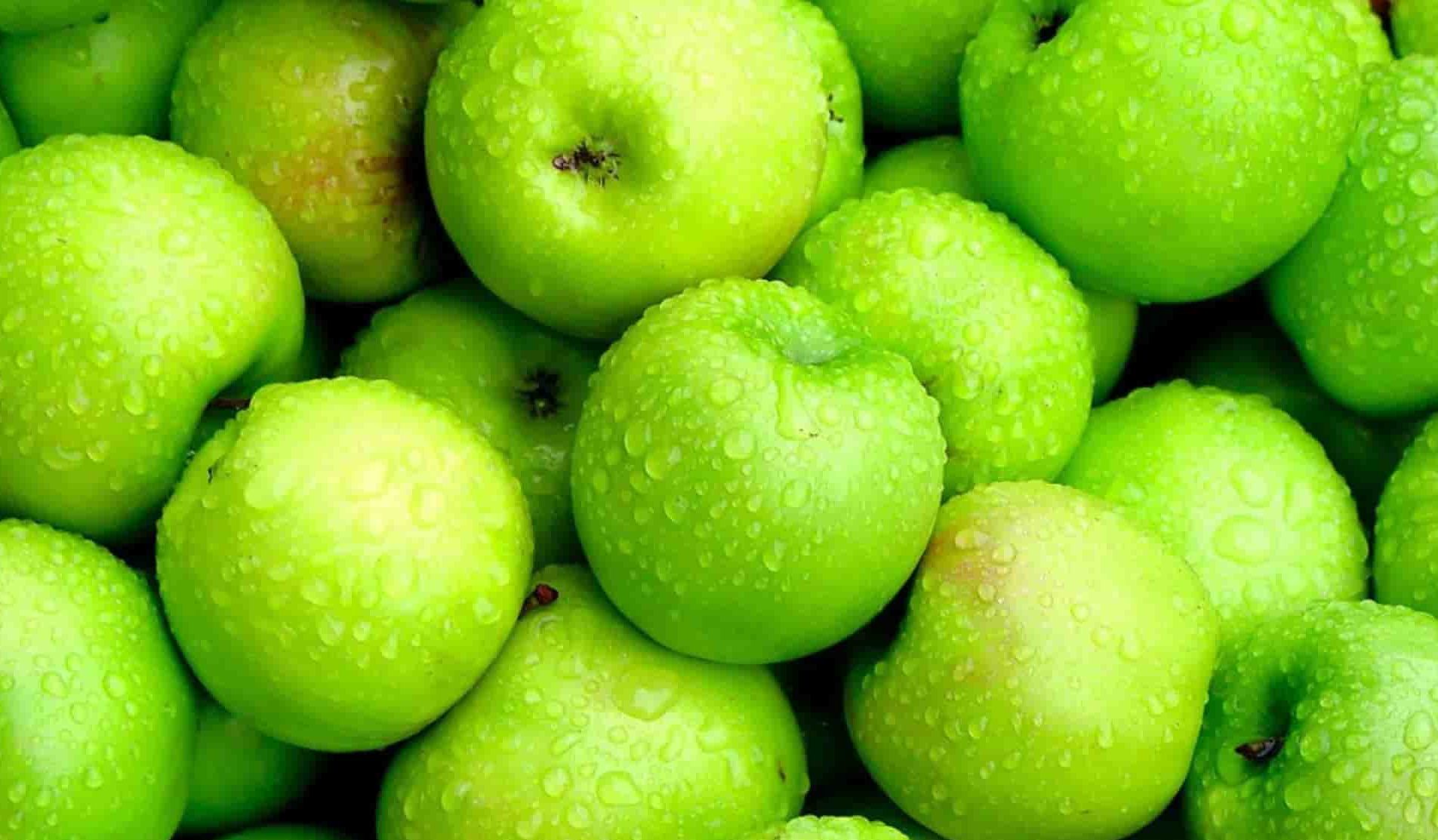 سعر التفاح الأخضر