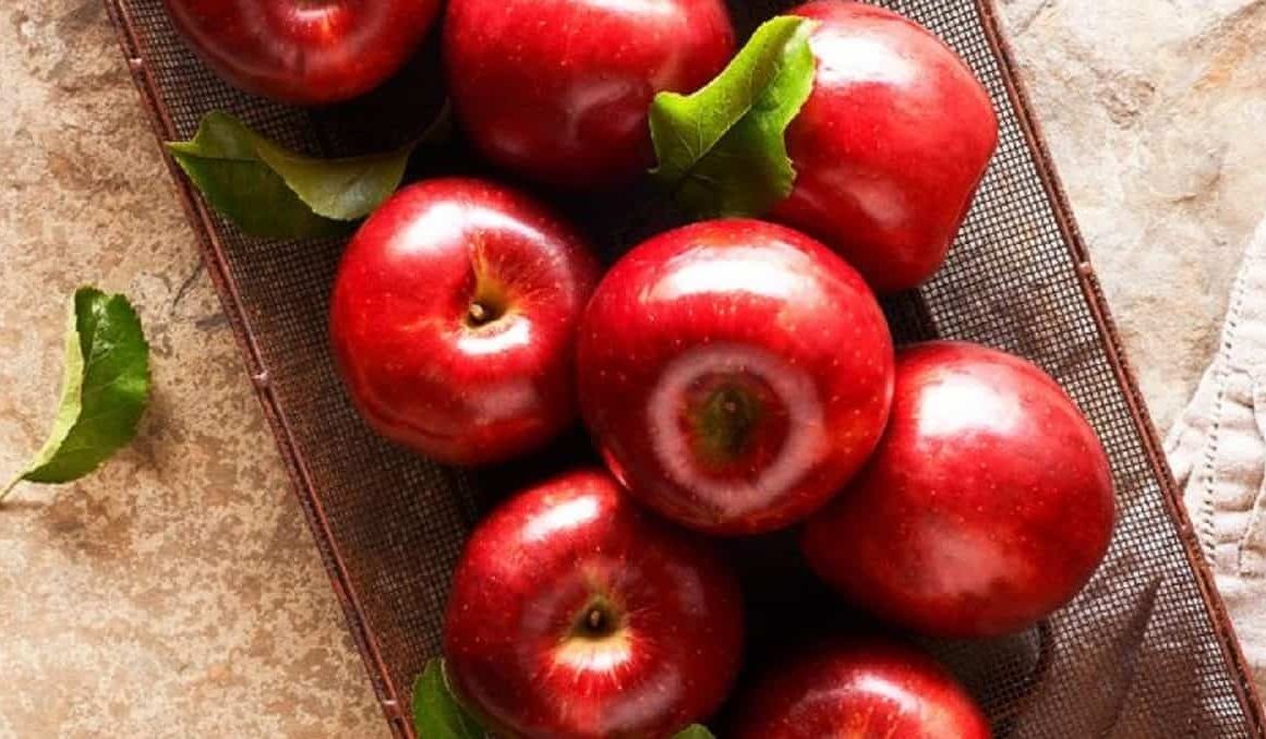سعر التفاح الأحمر بالجملة
