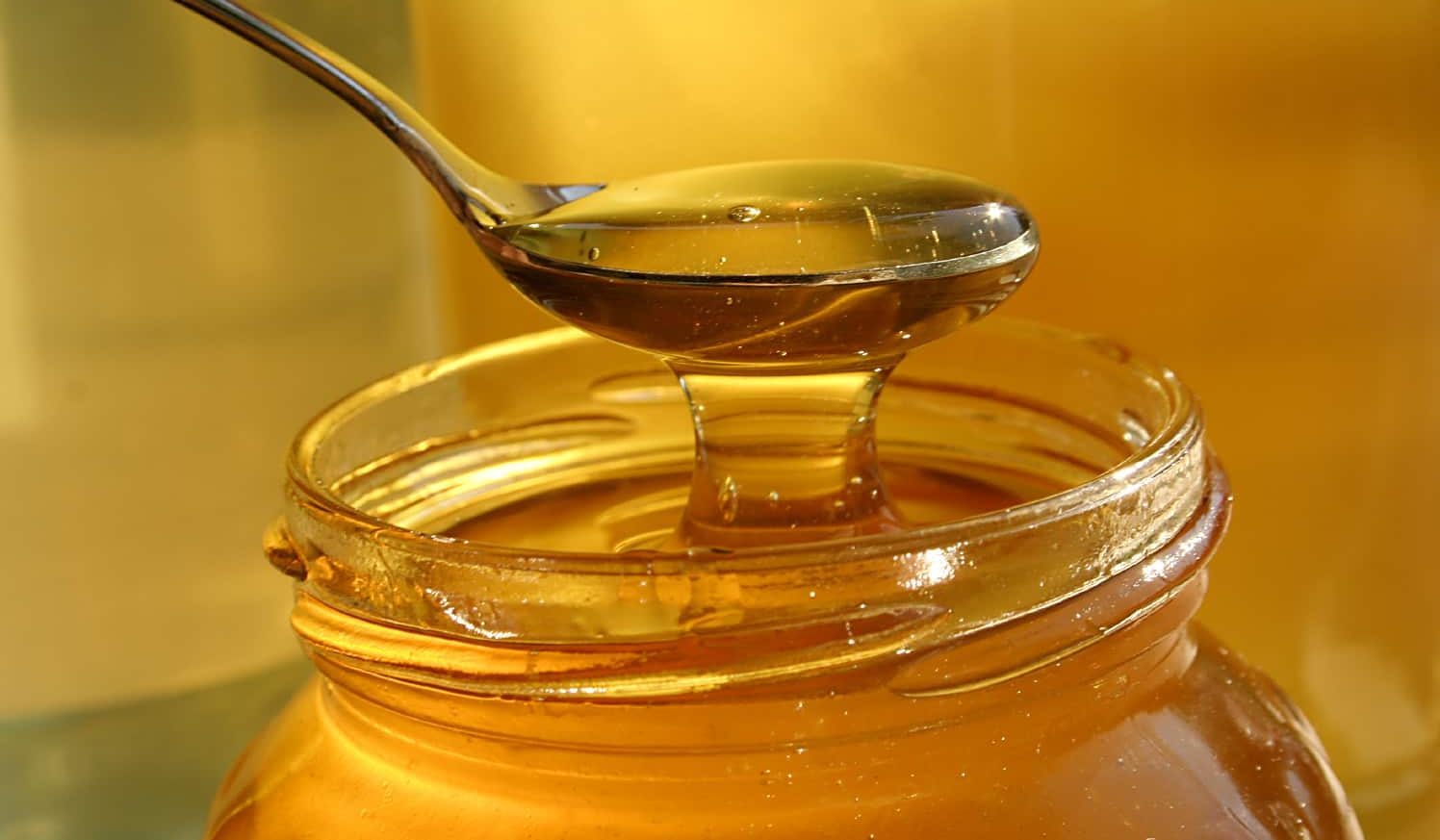 سعر العسل الملكي الماليزي - آراد برندینک