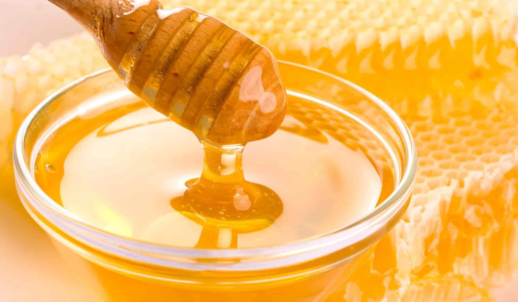سعر عسل النحل