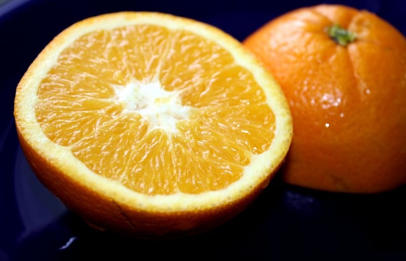 تصدير البرتقال إلى روسيا