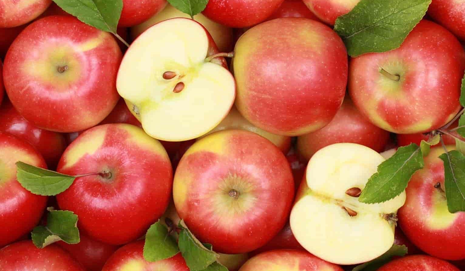 سعر كيلو التفاح الأحمر