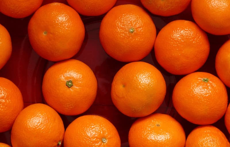 سعر البرتقال للتصدير اليوم