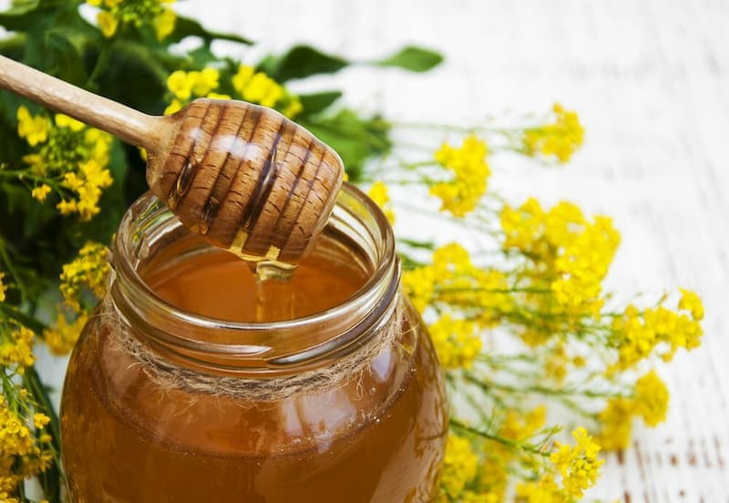 أفضل أنواع العسل في الصيدليات