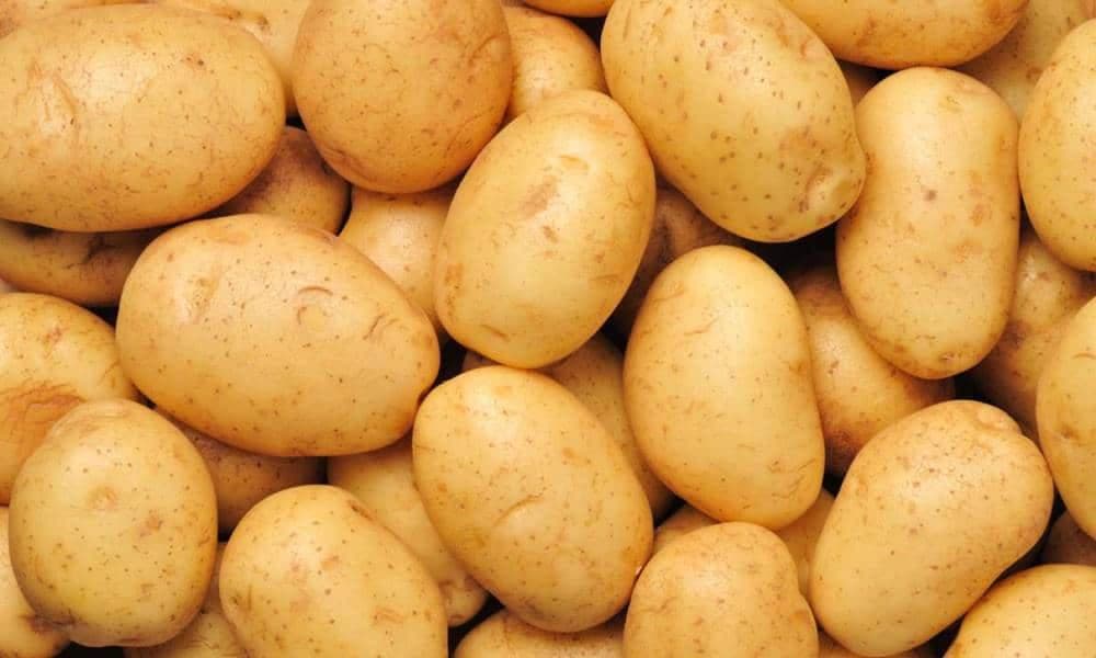 سعر البطاطس الاصفر الصغیر