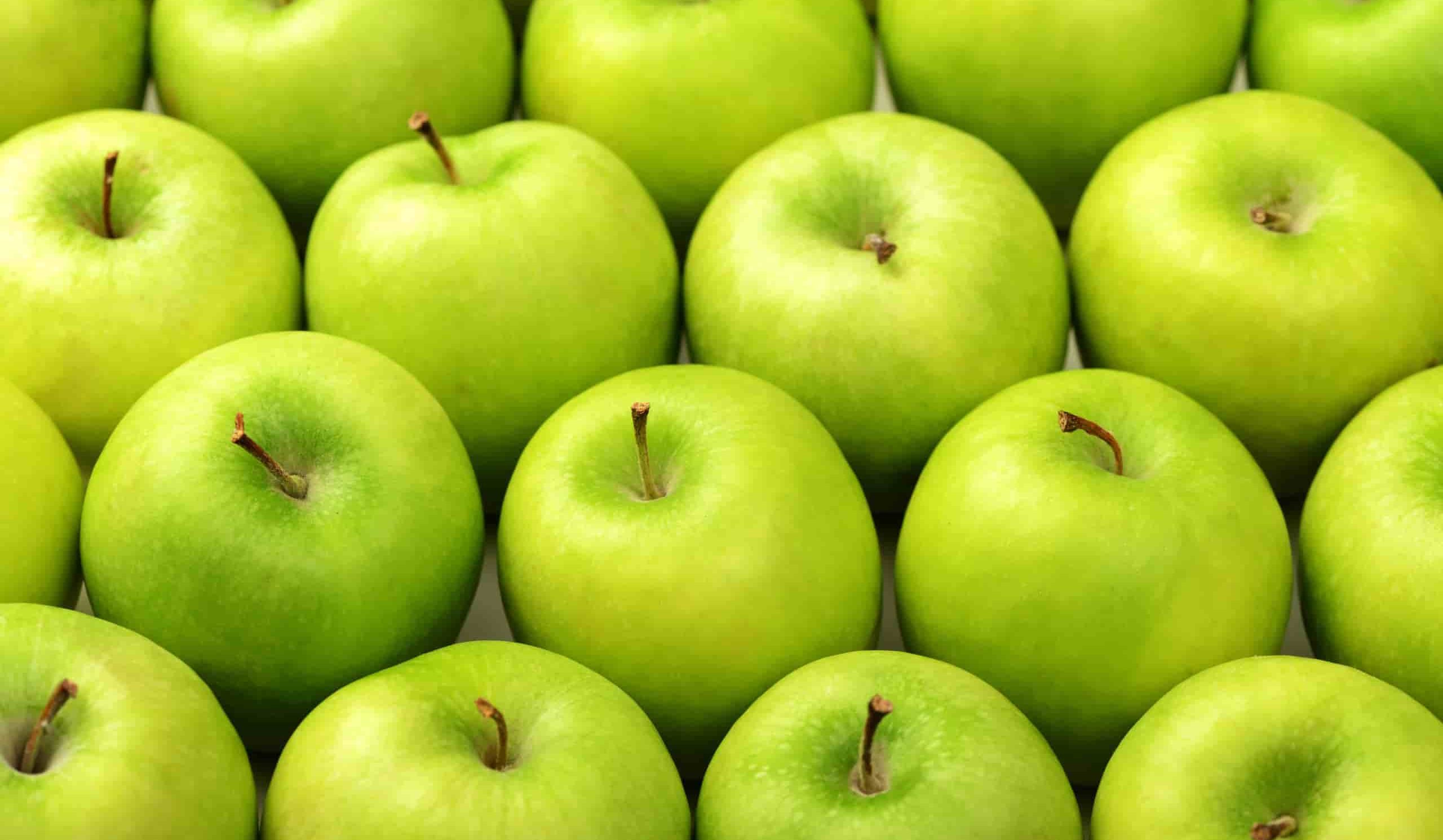انتاج انواع التفاح الاخضر