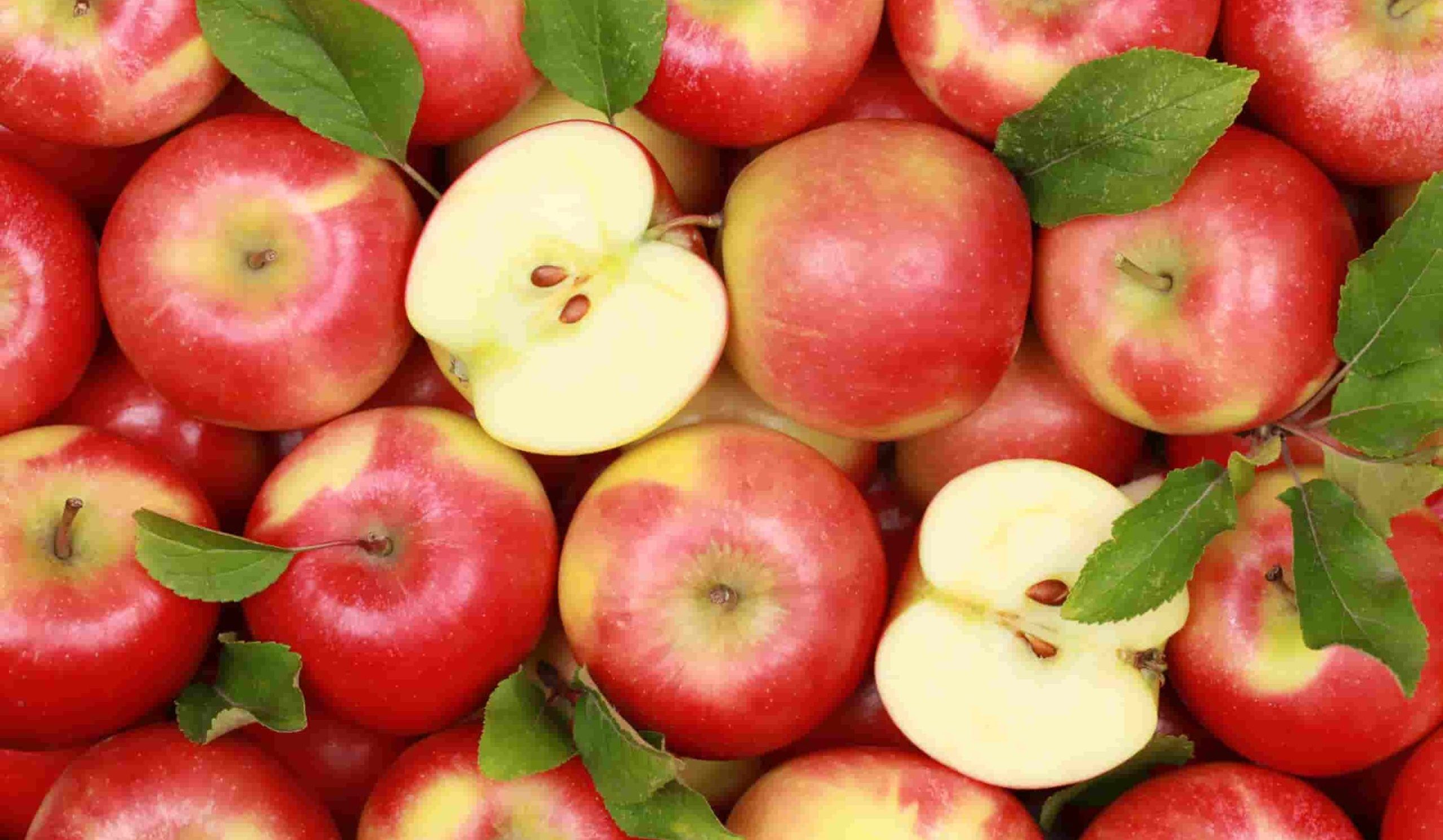 حقائق مذهلة عن التفاح