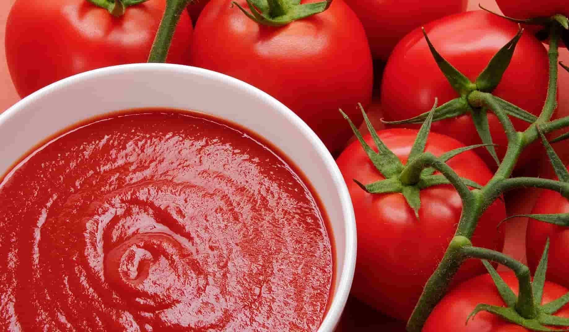 ما هي خصائص جودة معجون الطماطم
