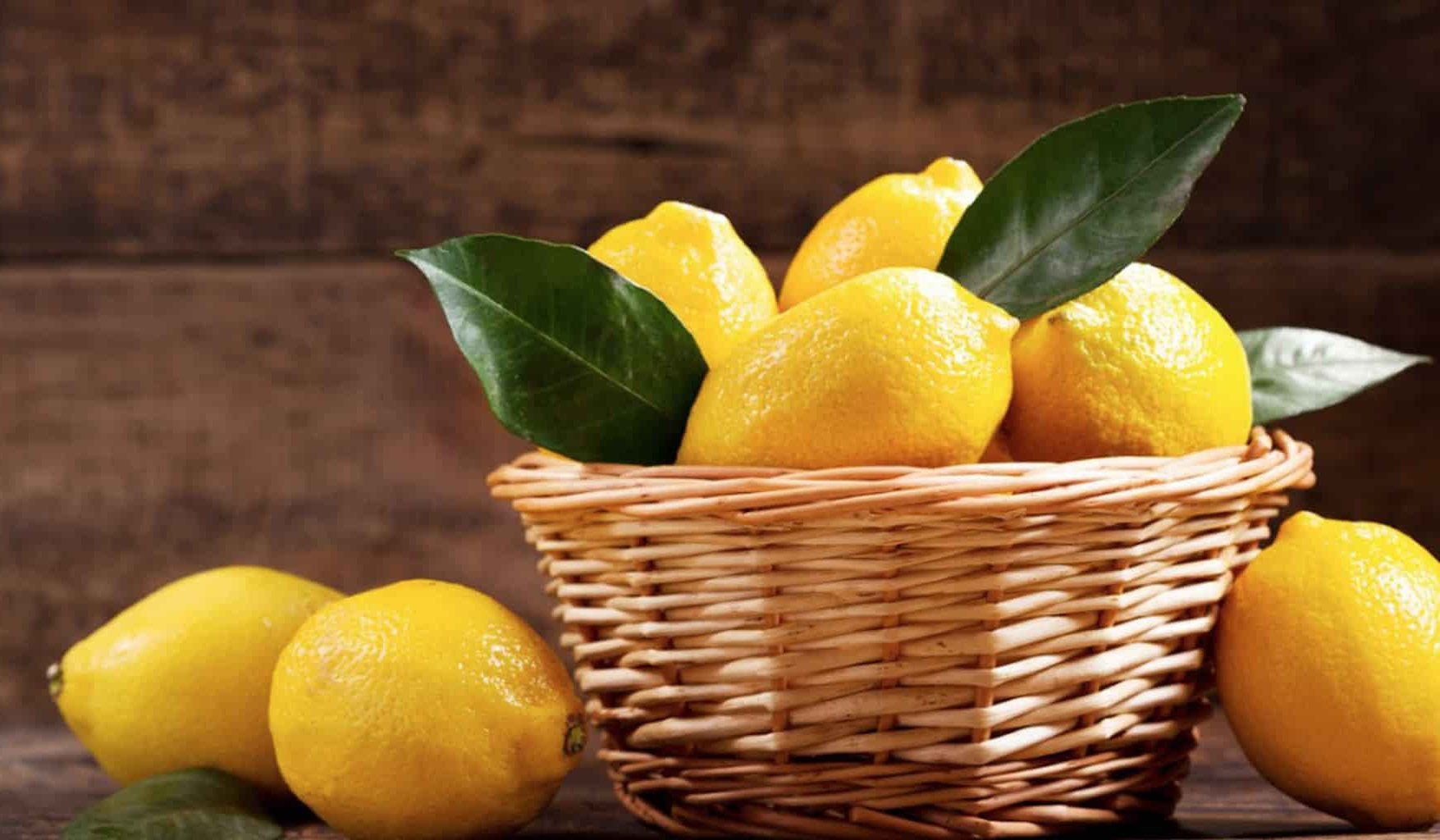 أسعار الليمون حلو في مصر