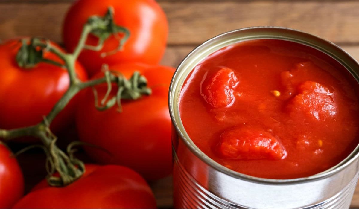 خصائص معجون الطماطم