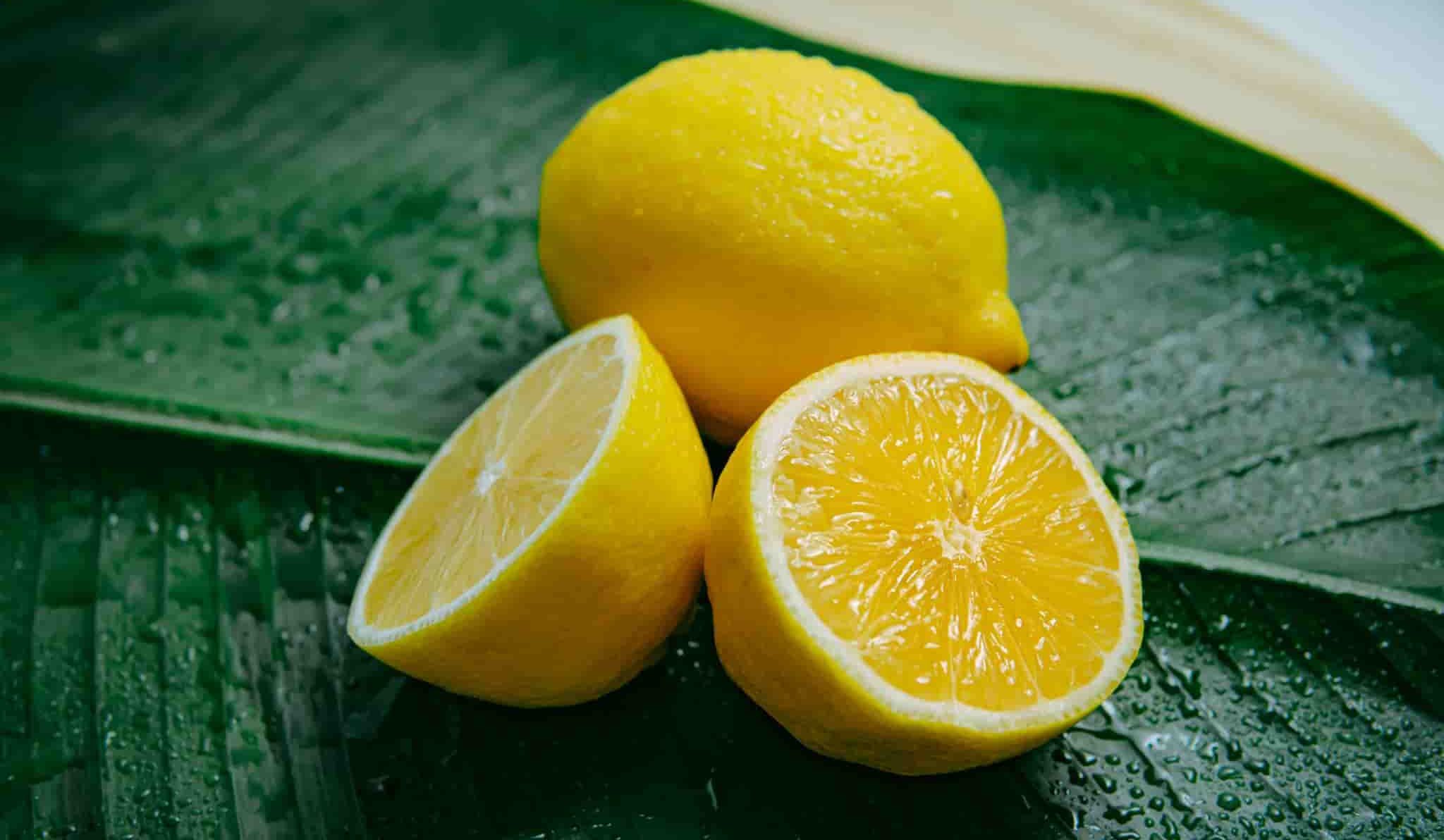 أسعار أنواع الليمون حلو