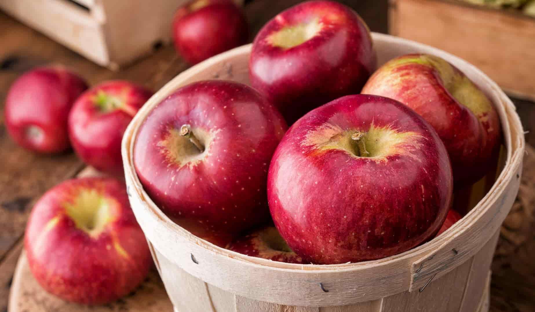 انواع الانتاج التفاح