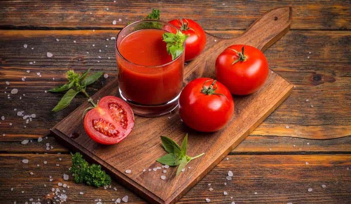 معجون الطماطم
