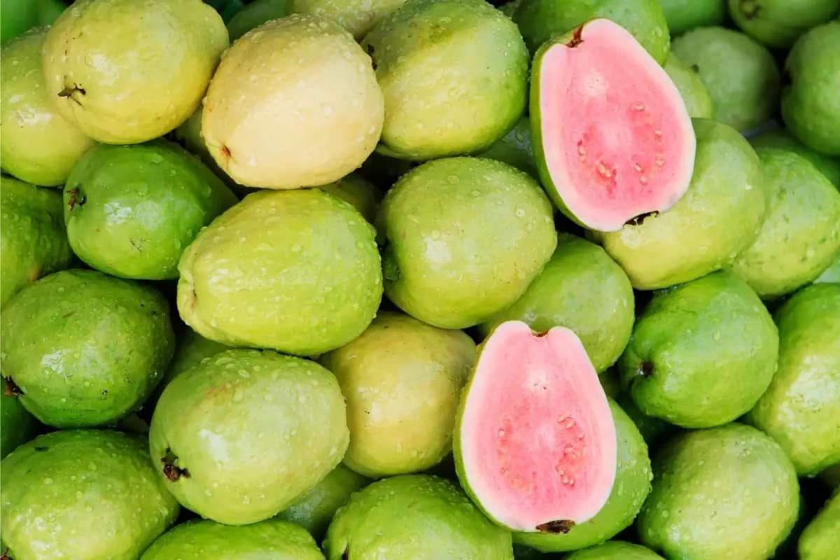 فوائد فاكهة الجوافة