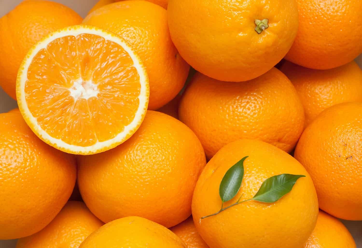 اجود انواع البرتقال الاصفر فی العالم