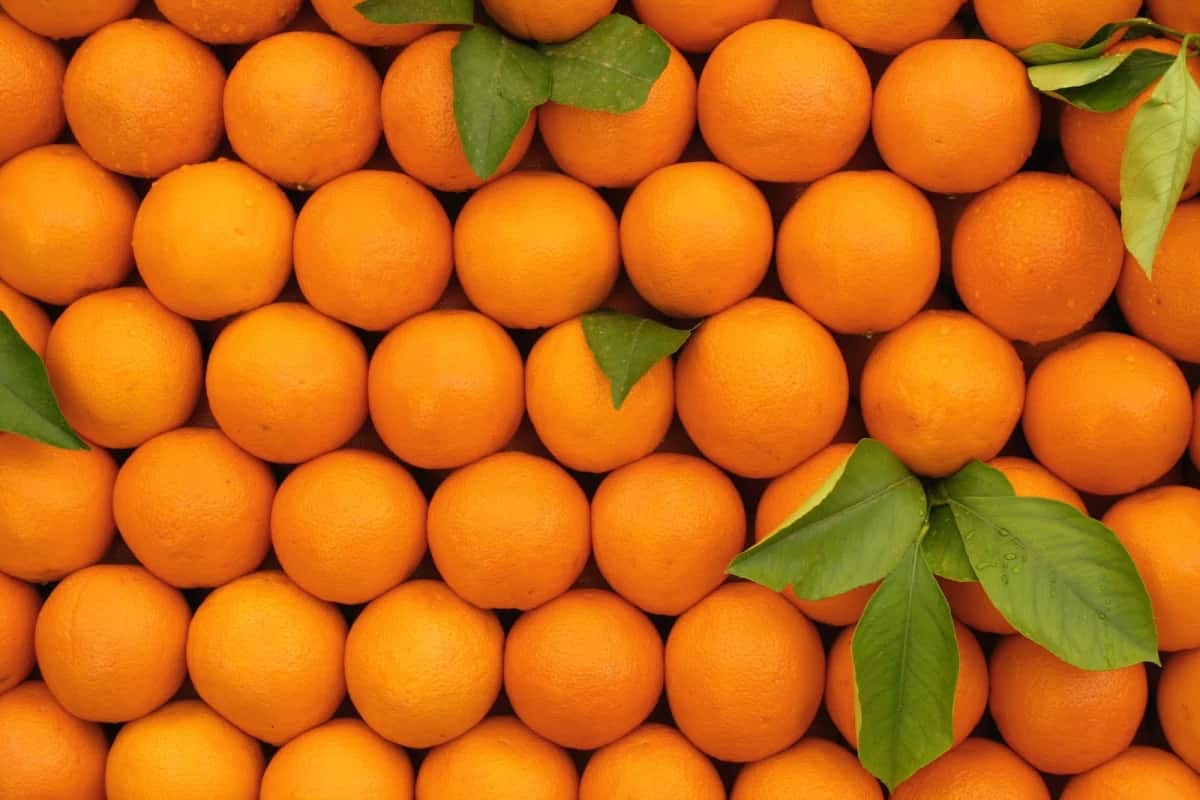 البرتقال وفوائده الكثيره