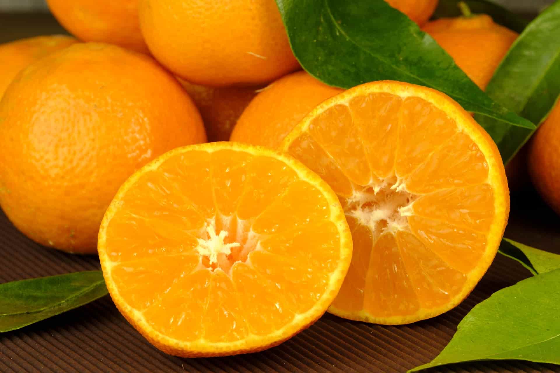 مواصفات جوده البرتقال الاصفر