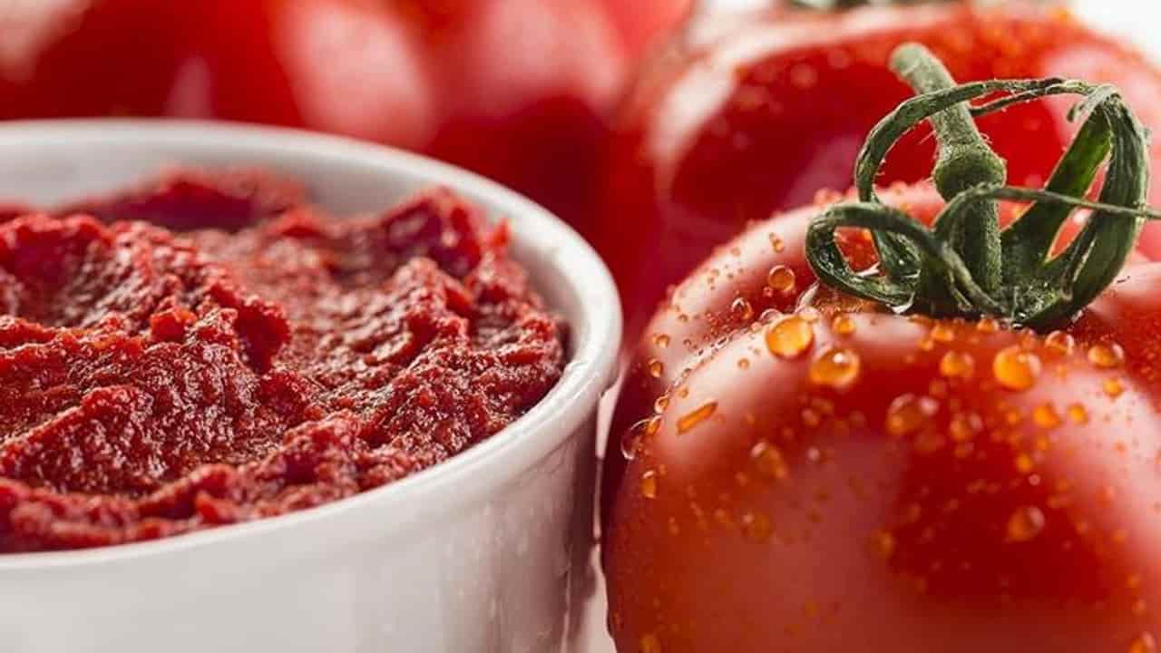 الظروف المستلزمة لإنتاج معجون طماطم الجيد