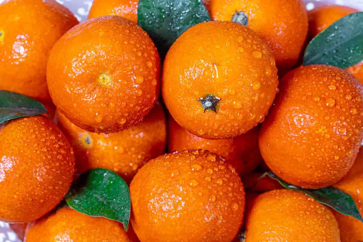 البرتقال المر للوجه