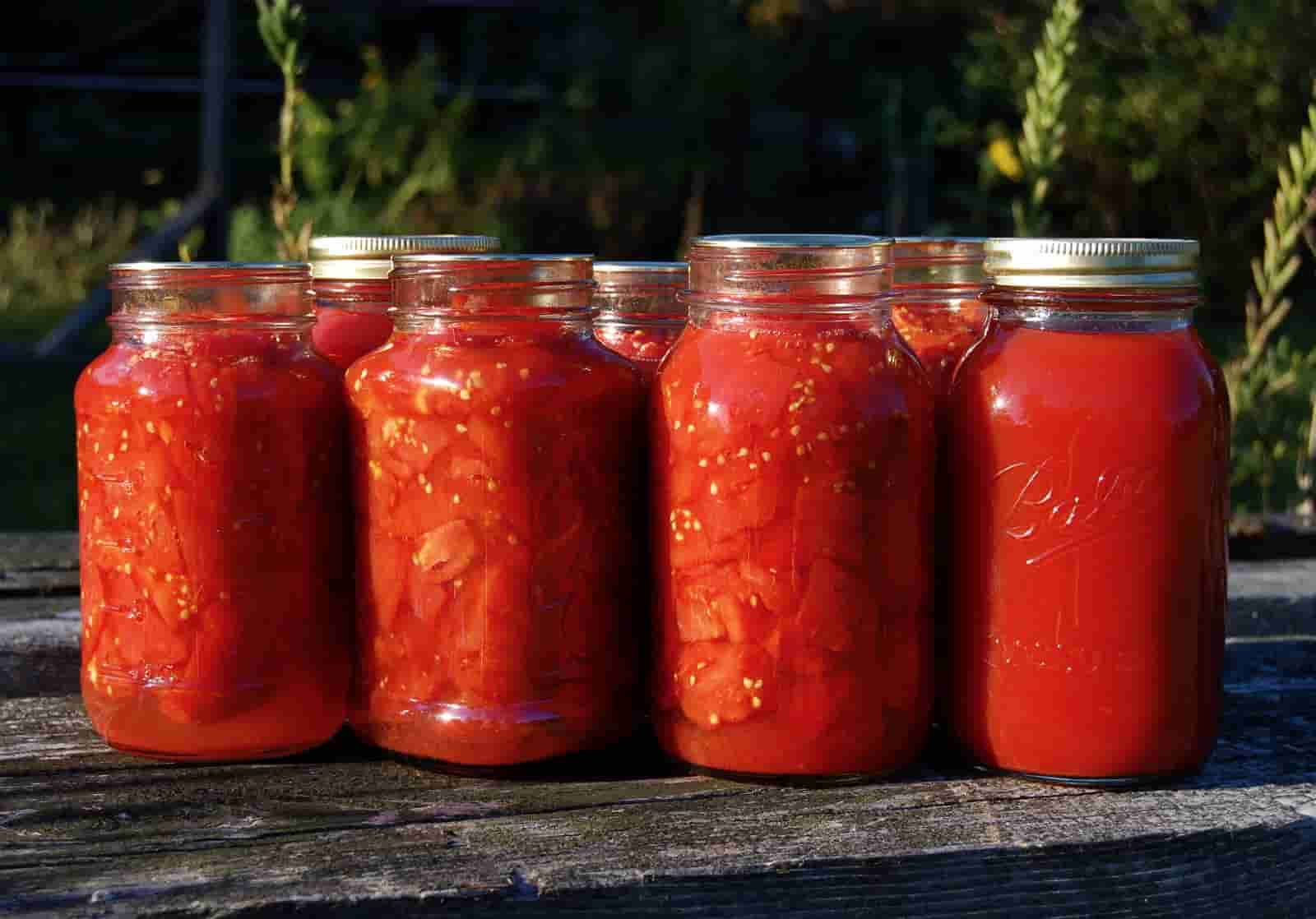 معجون الطماطم مقشر 400 جرام للبيع بجودة عالية