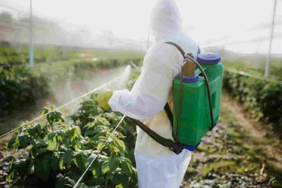 رش المبيدات الزراعية