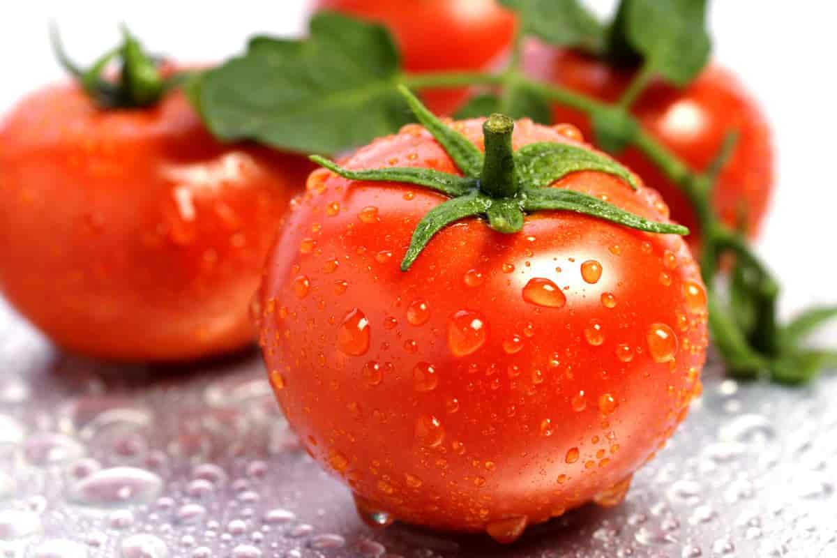 الطماطم وتأثيرها على نوع الجنين
