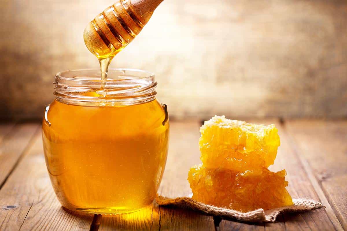 ما هو العسل البري؟