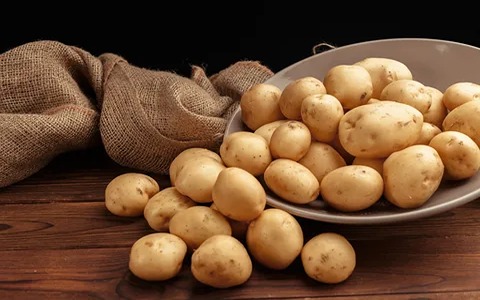 Kartoffel mit ausführlichen Erklärungen und Einarbeitung