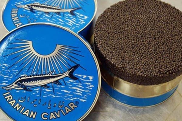 Teuerster gesunder echter Kaviar Fisch