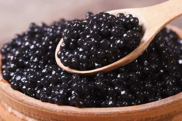 schwarzer kaviar von welchem fisch produziert wird