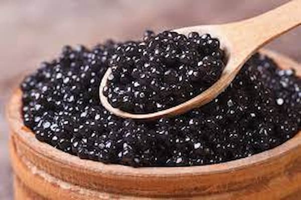 wie schwarze kaviar preis von hersteller oferiert werden