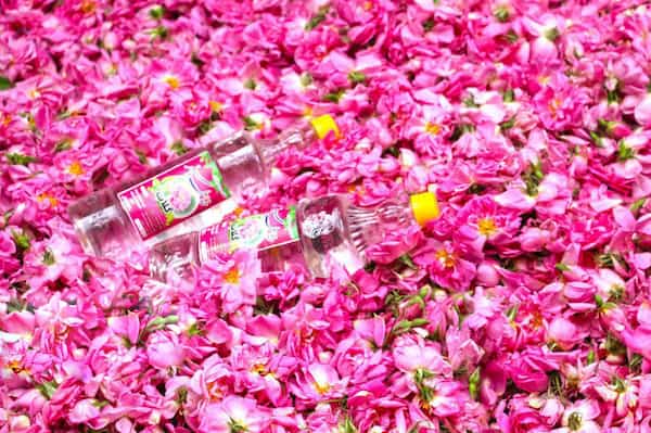 Bio Rosenwasser zum Trinken Preis