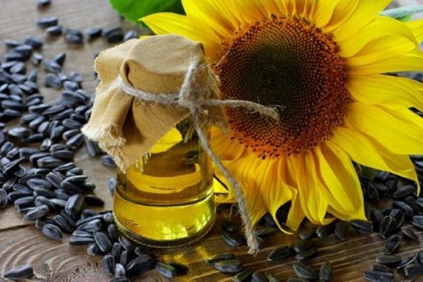 Bio Sonnenblumenöl Preis