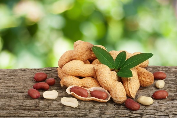 benefits of peanuts + purchase price