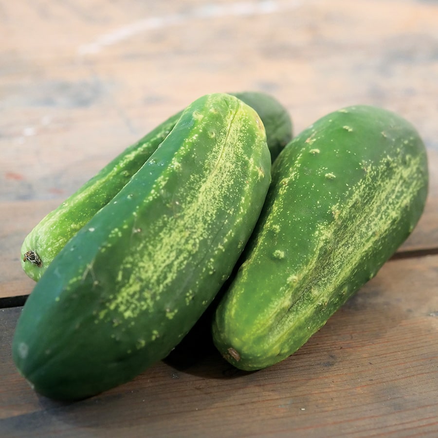 buy the latest types of organic cucumber