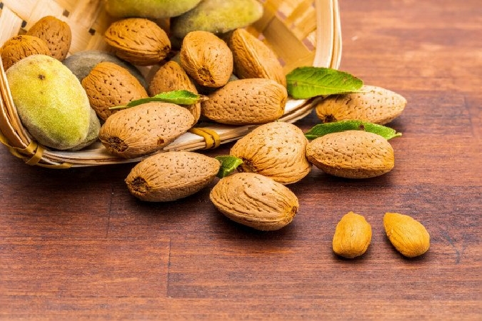 Purchase and price of types of mamra almonds with shell