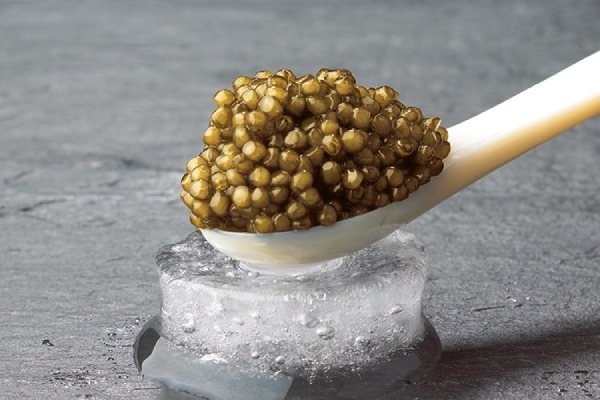 Buy the latest types of almas caviar price
