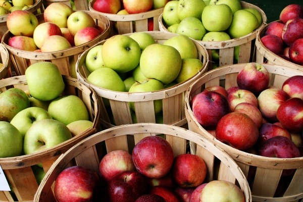 apple fruit company 2023 price list