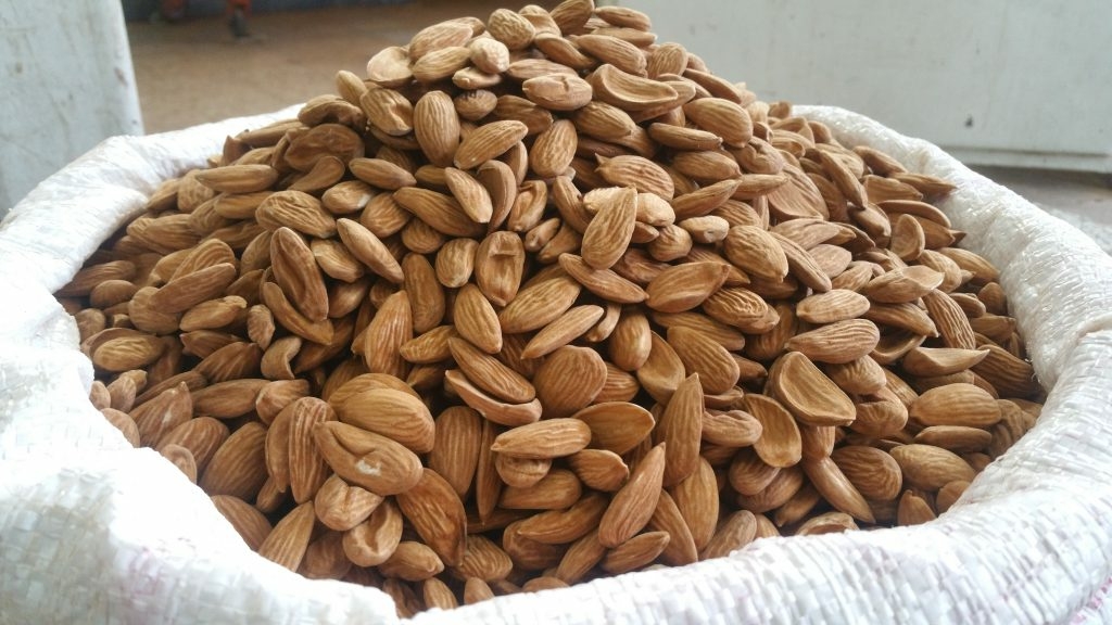 Buy types of almond industry California  + price